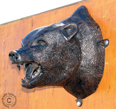 Bear Head Mount