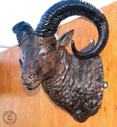 Ram Head Mount