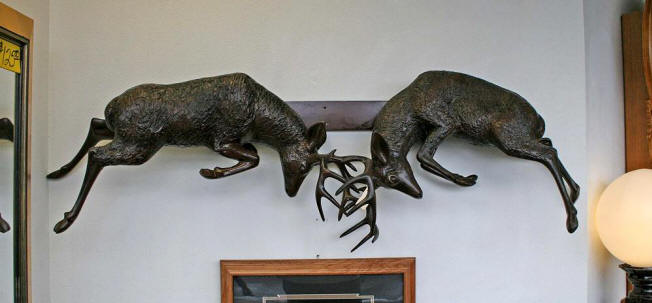 Pair of Deer Fighting for Wall